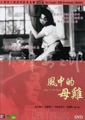 风中的母鸡 海报