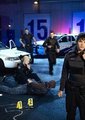 菜鸟警察 第三季 海报