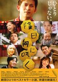 向着阴天绽放 海报
