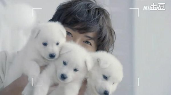 木村拓哉继续代言Nikon 1系列,全新「Nikon 1 J2」CM中和出生两个月的白色小狗共演,以这部高速对焦的新可换镜相机拍下木村和小狗的可爱样子!广告在全白的房间拍摄,女角拿起相机拍他和小狗,完全以女性为广告对象!拍摄期间木村和小狗玩耍,抱著牠们的时候被舔超可爱!新CM 9/6放送。