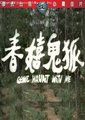 狐鬼嬉春海报
