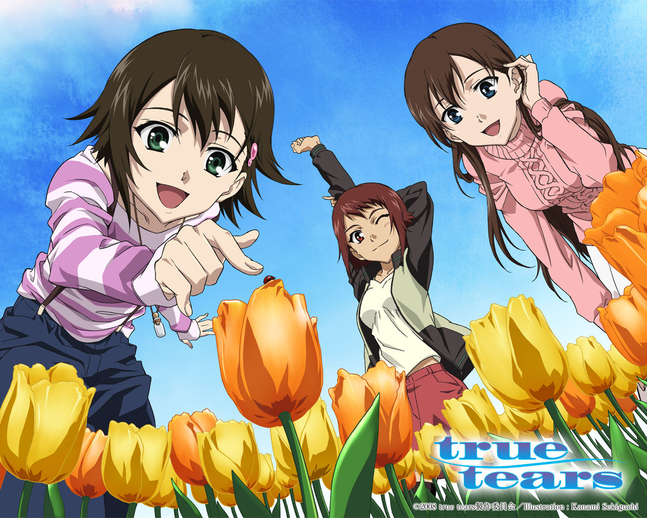 真实之泪(true+tears)