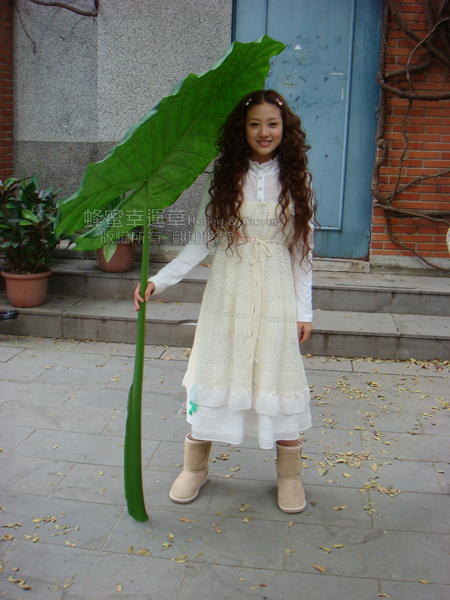 蜂蜜幸运草+-+电视剧图片