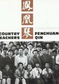 凤凰琴海报