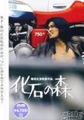 石化森林 海报