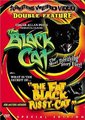 The Black Cat海报