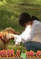 蜘蛛人和神犬海报