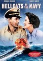 海军悍妇海报