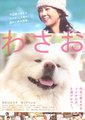 秋田犬蓬夫