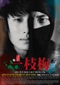 一枝梅归来海报