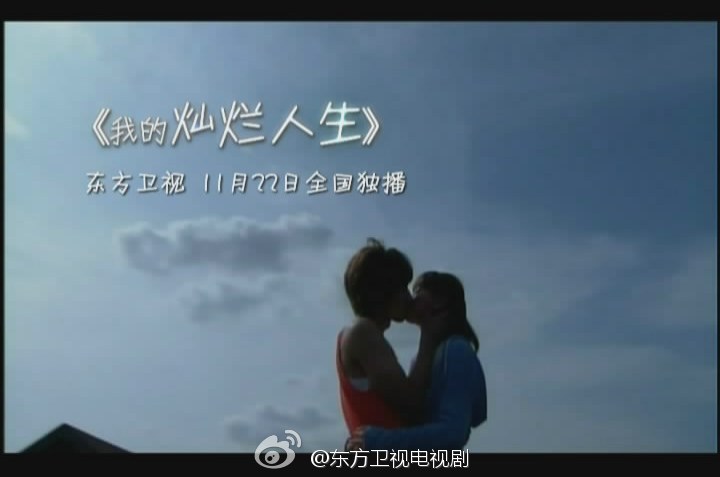 我的灿烂人生+-+电视剧图片