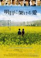 通往明日之爱