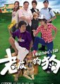 老友狗狗