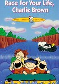 史努比的惊险夏令营 海报