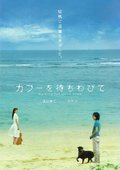 等待幸福 海报