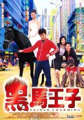 黑马王子 海报