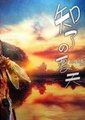 知了的夏天