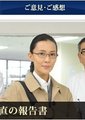 内部调查官水平直的报告