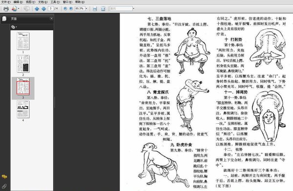 《严蔚冰传易筋经十二式》扫描版[pdf]