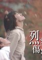 烈爱伤痕海报