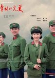 幸福的完美 海报