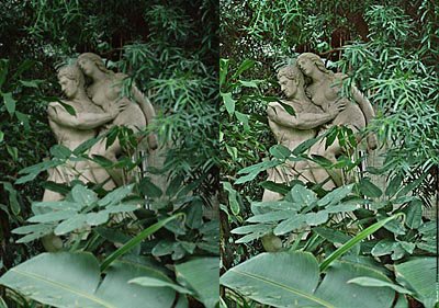 《视频降噪插件》(RevisionFX DeNoise)v2.1.1