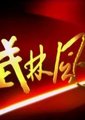 武林风海报