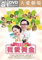 我爱美金海报