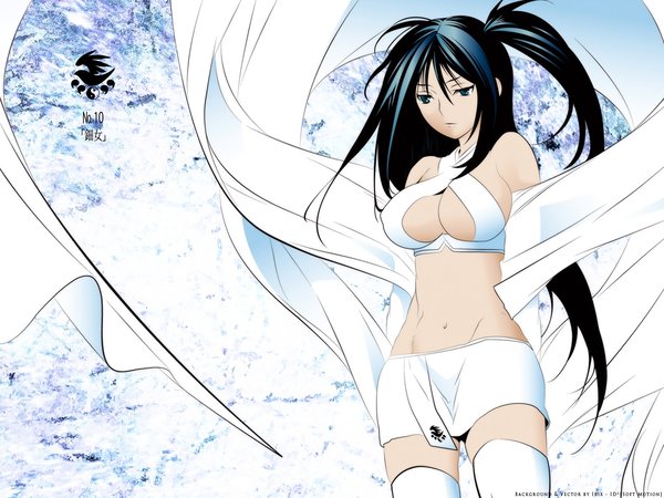 <em>鹡鸰女神+第一季</em>(sekirei)
