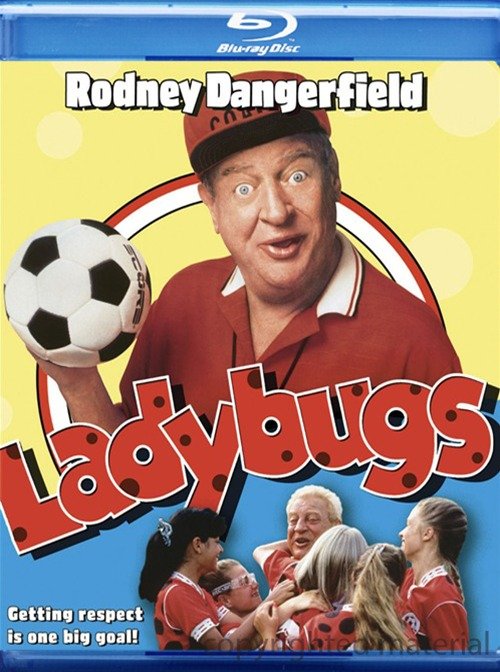 窈窕淑女队(Ladybugs) - 电影图片 | 电影剧照 | 