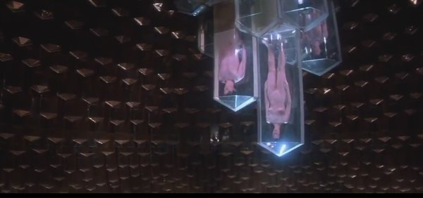 宇宙天魔(lifeforce)