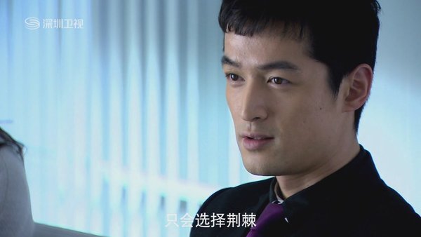 无懈可击之高手如林_无懈可击之高收入林(2)