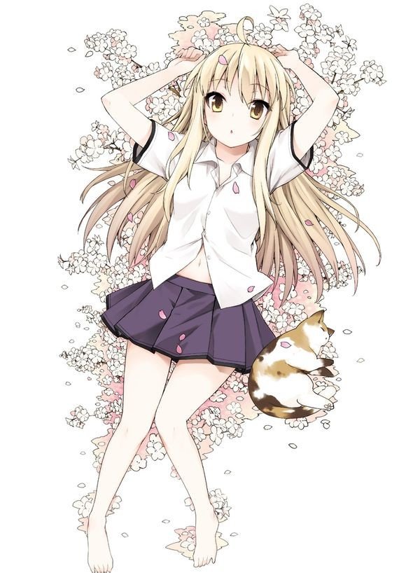 樱花庄的宠物女孩(sakura sou no pet na kanojo) - 动漫图片 | 图片