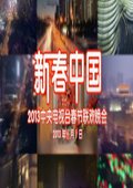 2013年央视春节联欢晚会 海报