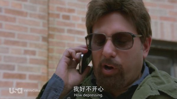 猫鼠游戏 第五季(White Collar Season 5) - 电视