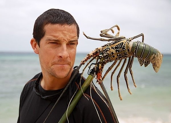 荒野求生秘技:贝尔野外求生饮食篇