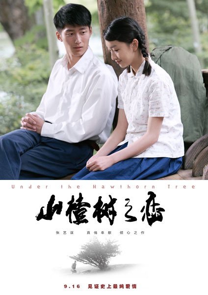 山楂树之恋(the love of the hawthorn tree) - 电影图片 | 电影剧照