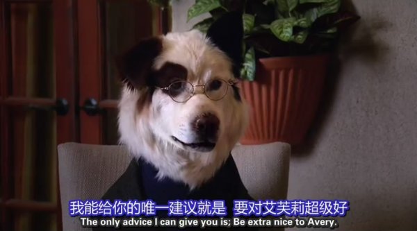 狗狗博客 第二季