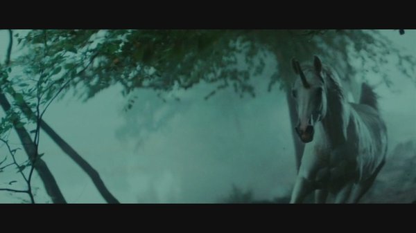 梦境迷雾，解析梦见别人被杀自己浅了一身血的深层预兆