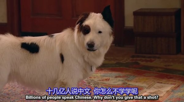狗狗博客 第二季