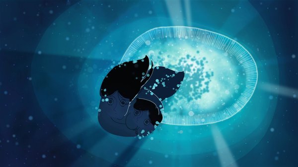 海洋之歌便宜价格 质量好吗