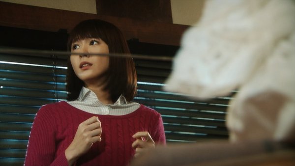 胜者即是正义 第二季(Legal High 2) - 电视剧图