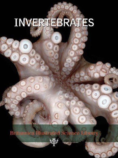 ӢٿȫϵУ޼׵Ӣԭ棩(Britannica Illustrated Science LibraryInvertebrates)ȫʰ[PDF]
