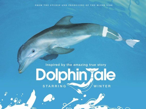 海豚的故事(dolphin tale) - 电影图片 | 电影剧照 | 高清海报