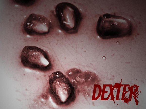 嗜血法医 第五季(Dexter Season 5) - 电视剧图片