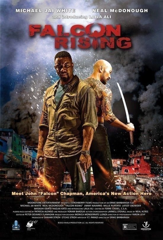 猎鹰突起\/猎鹰上升(Falcon Rising) - 电影图片 |
