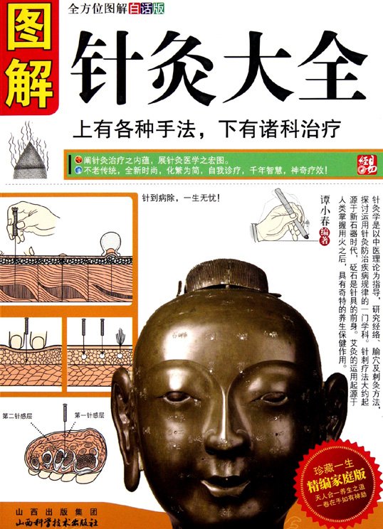《图解针灸大全》扫描版[PDF]