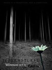 邪恶力量 第九季(Supernatural Season 9) - 电视