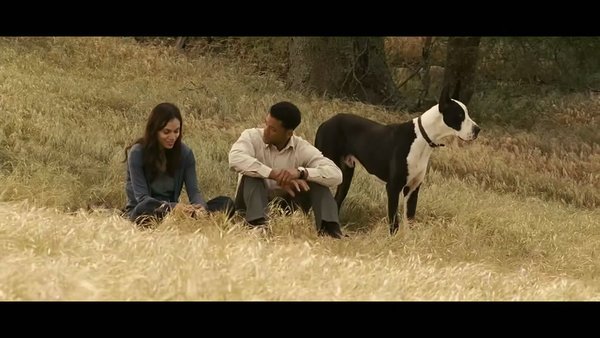 七磅(seven pounds) - 电影图片 | 电影剧照 | 高清