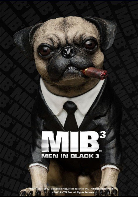 黑衣人迅雷：瞬息万变的秘密任务亲历者 (黑衣人迅雷下载链接)